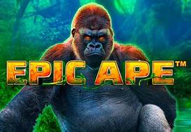 Slot Epic Ape
